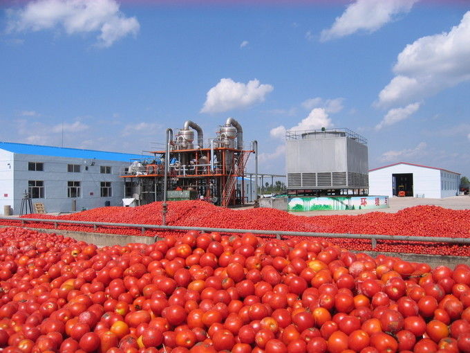 Arkhum (Tianjin) Health Technology Co., Ltd. প্রস্তুতকারকের উত্পাদন লাইন